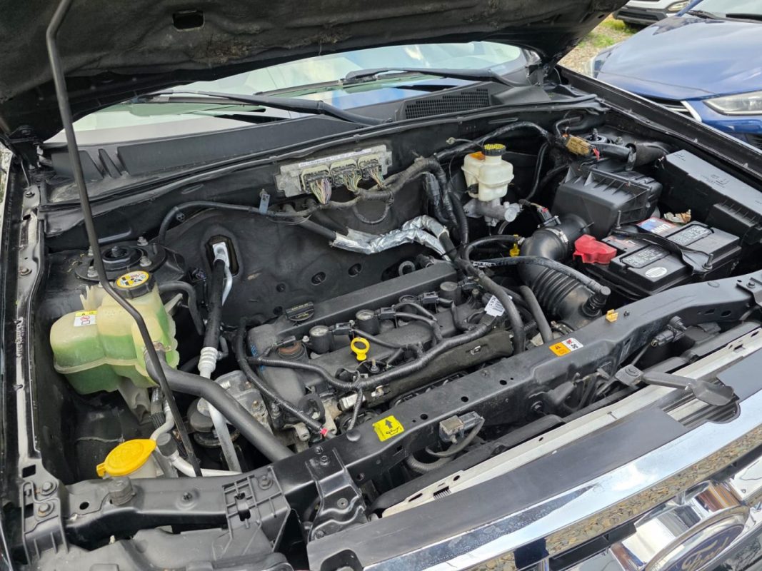 WhatsApp Image 2026-03-14 at 12.08.27 PM