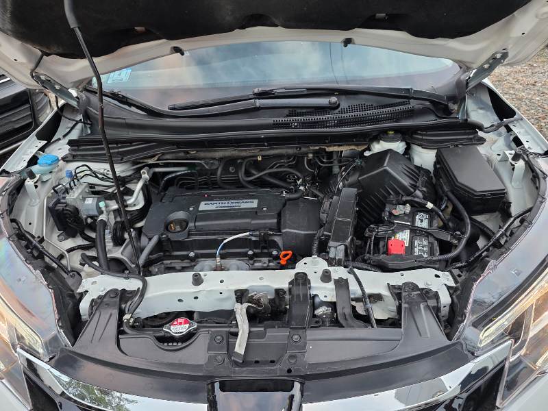 WhatsApp Image 2026-03-14 at 3.54.36 PM (2)