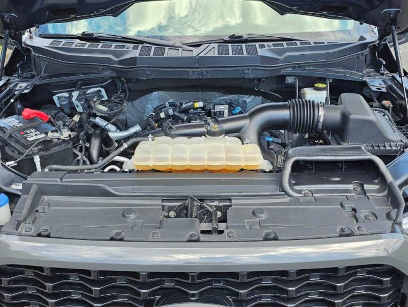 WhatsApp Image 2026-03-15 at 4.53.44 PM (3)