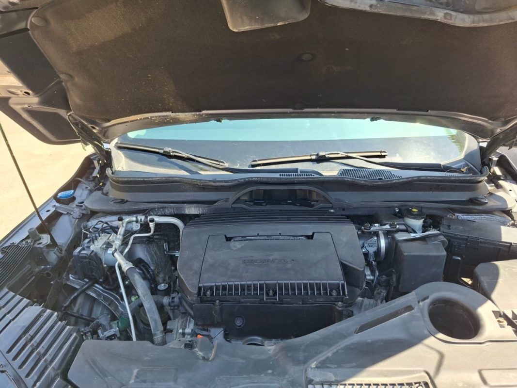 WhatsApp Image 2026-03-16 at 10.03.35 AM