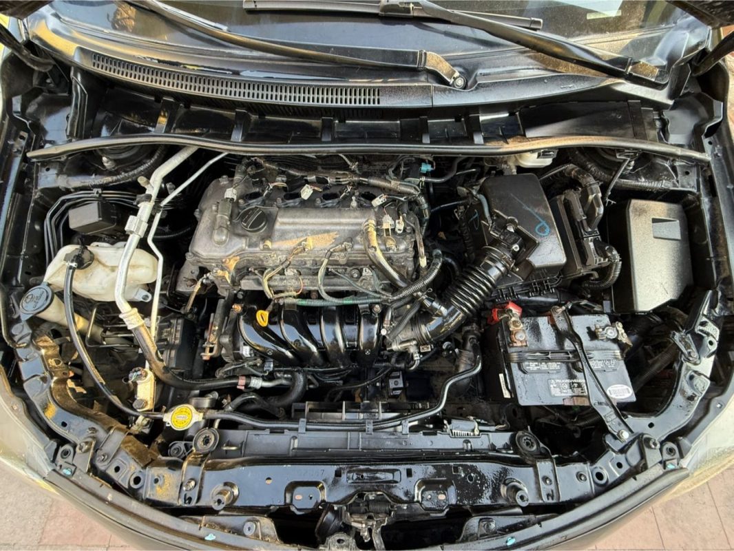 WhatsApp Image 2026-03-16 at 5.00.50 PM (1)