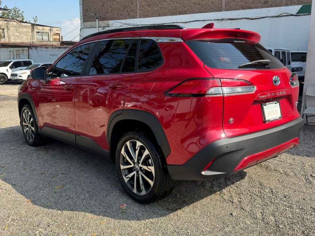 WhatsApp Image 2026-03-17 at 10.19.02 AM (3)