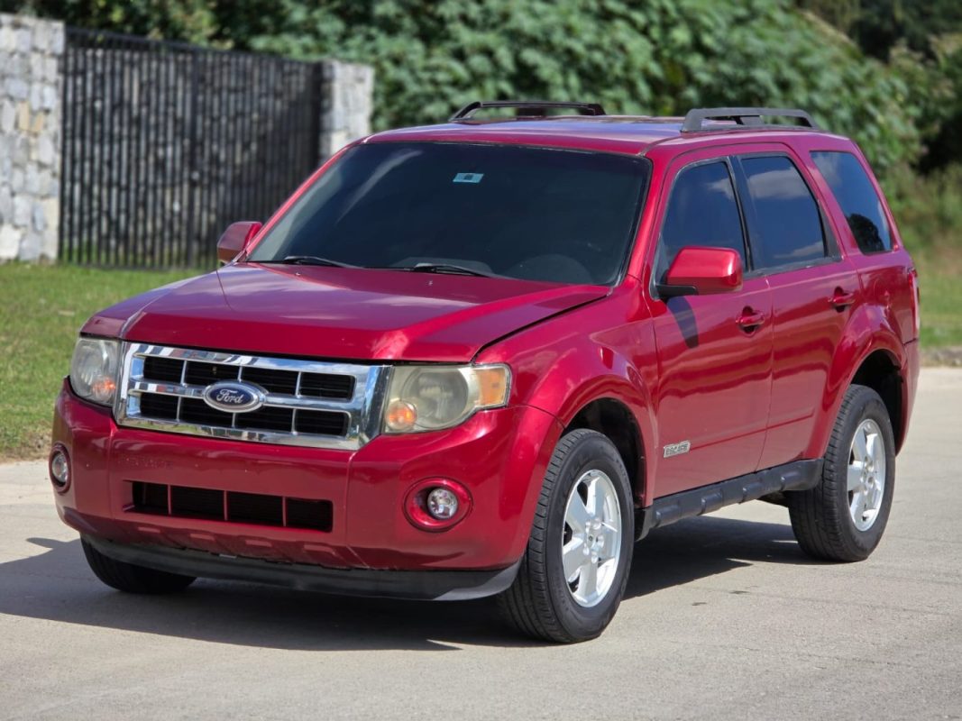 WhatsApp Image 2026-03-17 at 2.44.49 PM (1)