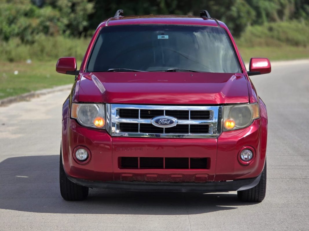 WhatsApp Image 2026-03-17 at 2.44.49 PM