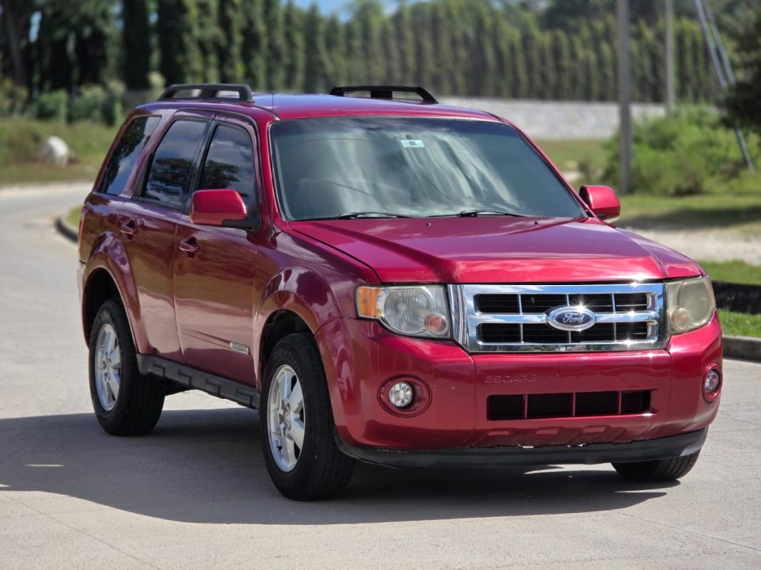 WhatsApp Image 2026-03-17 at 2.44.50 PM (1)