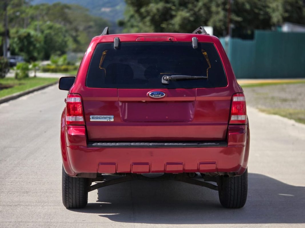 WhatsApp Image 2026-03-17 at 2.44.50 PM (3)