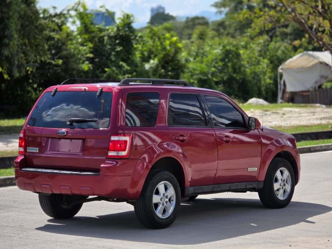 WhatsApp Image 2026-03-17 at 2.44.50 PM (4)