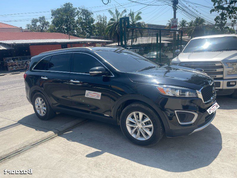 WhatsApp Image 2026-03-18 at 8.00.01 AM (1)