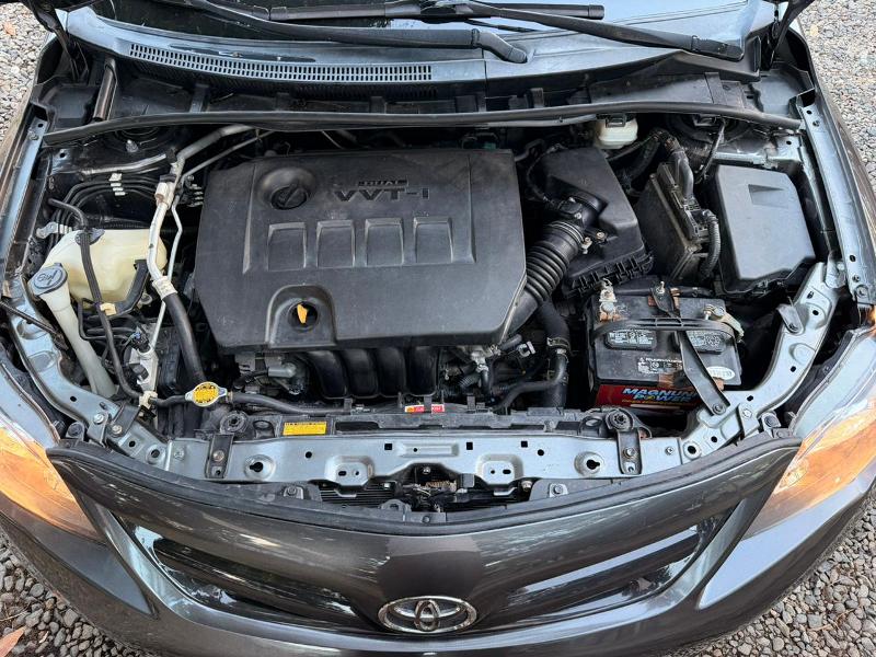 WhatsApp Image 2026-03-23 at 10.11.20 PM (3)