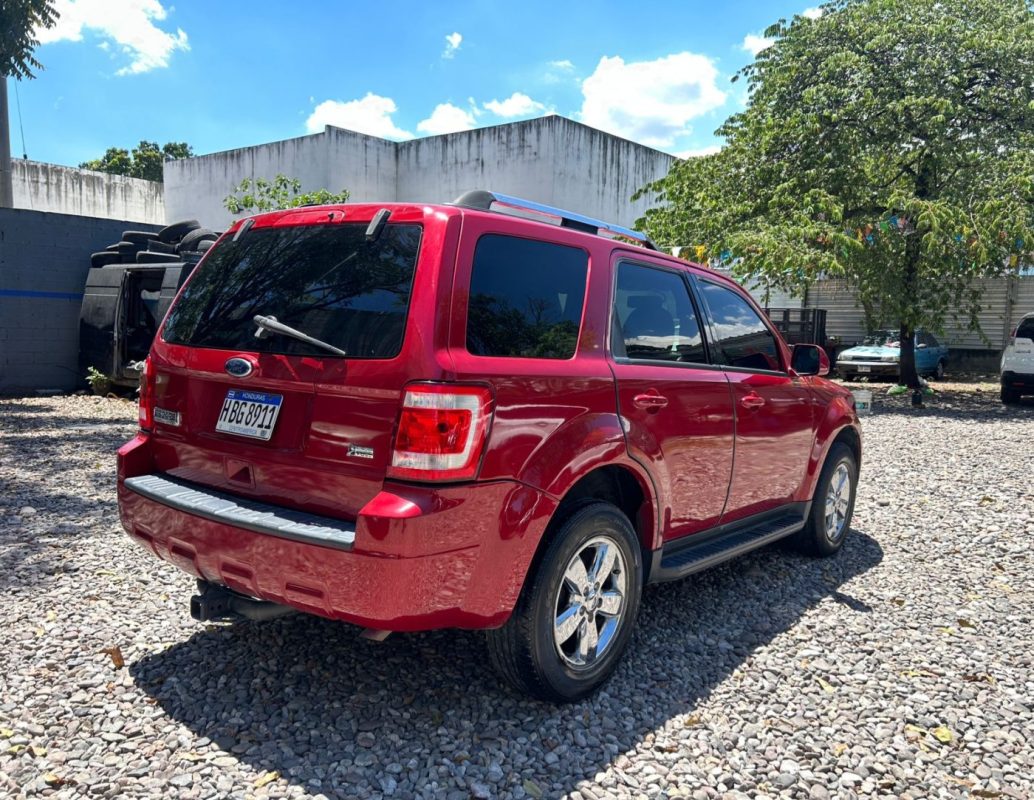 WhatsApp Image 2026-03-23 at 3.08.42 PM (1)