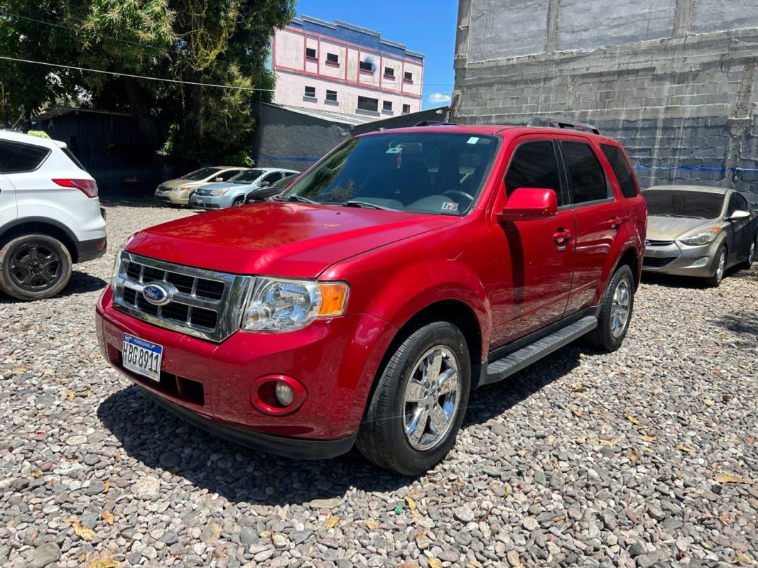 WhatsApp Image 2026-03-23 at 3.08.42 PM