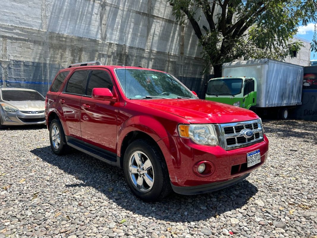 WhatsApp Image 2026-03-23 at 3.08.43 PM (3)