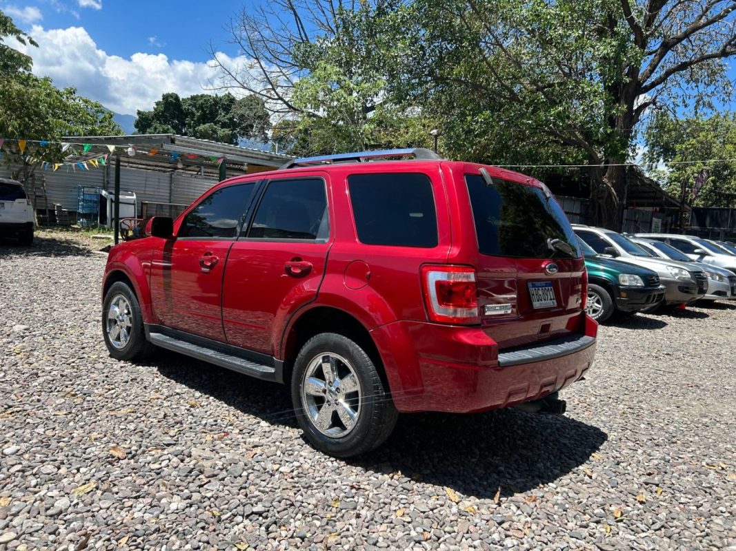 WhatsApp Image 2026-03-23 at 3.08.43 PM (5)