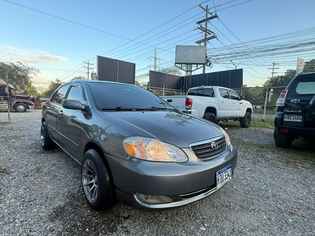 WhatsApp Image 2026-03-24 at 7.36.21 PM (2)