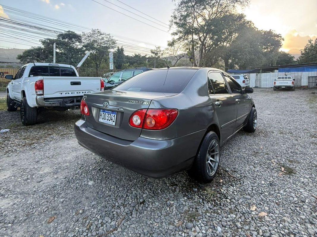 WhatsApp Image 2026-03-24 at 7.36.22 PM (3)