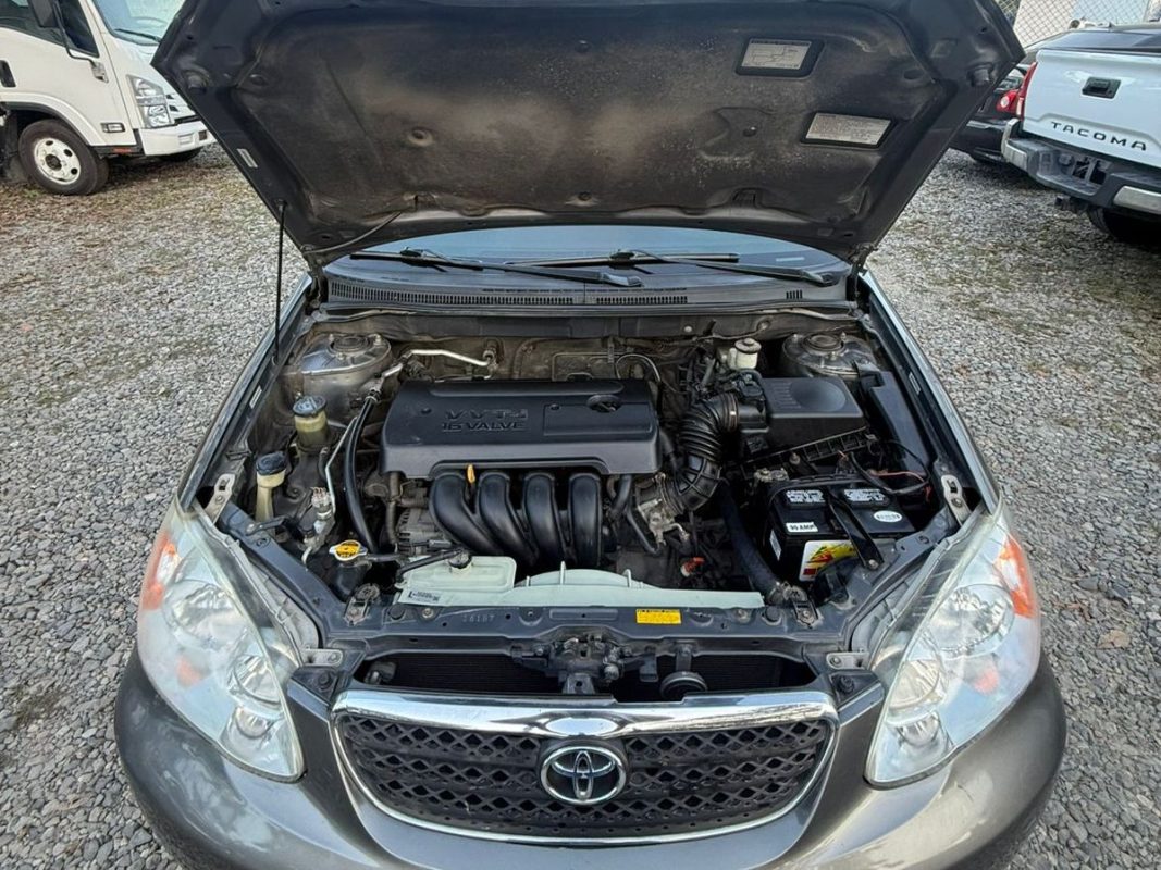 WhatsApp Image 2026-03-24 at 7.36.24 PM (2)