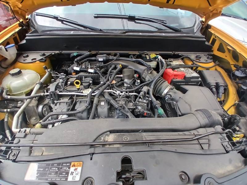 WhatsApp Image 2026-03-25 at 10.31.27 AM (3)