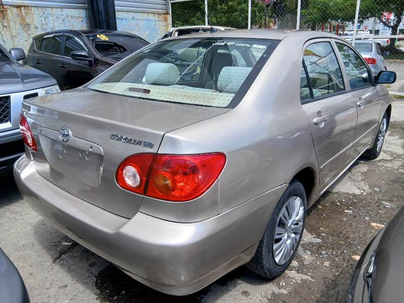 WhatsApp Image 2026-03-25 at 10.32.31 AM (1)