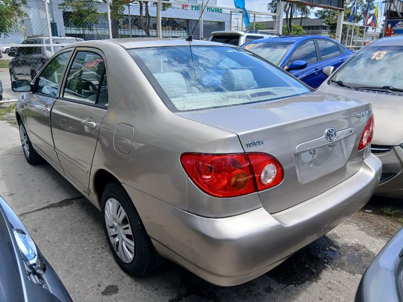 WhatsApp Image 2026-03-25 at 10.32.32 AM (1)