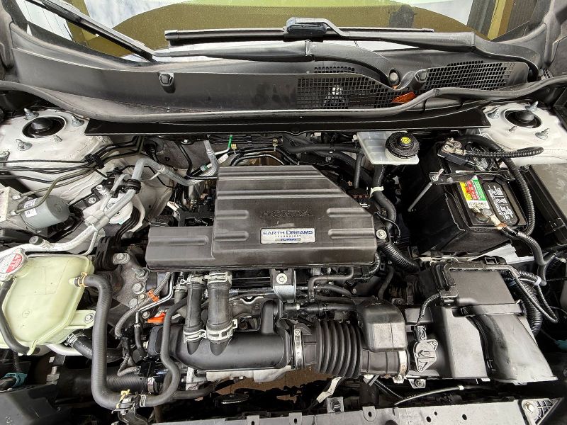 WhatsApp Image 2026-03-27 at 1.37.29 PM