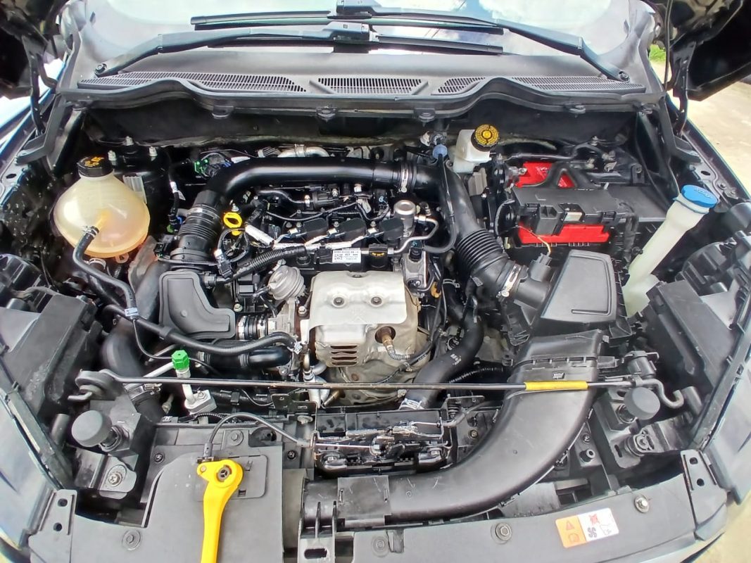 WhatsApp Image 2026-03-27 at 2.38.31 PM (1)