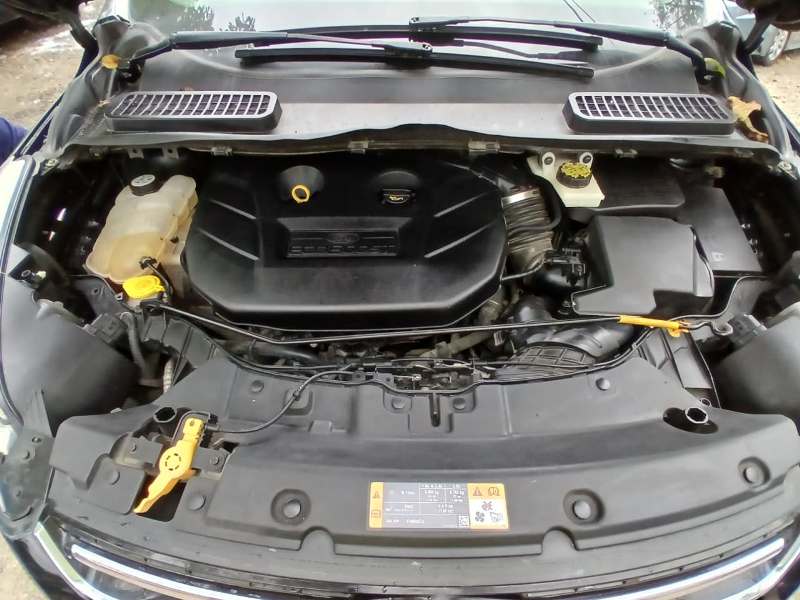 WhatsApp Image 2026-03-28 at 2.30.34 PM (1)