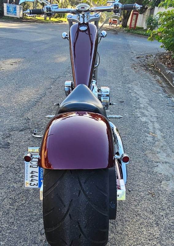 WhatsApp Image 2026-03-29 at 10.32.48 AM (1)