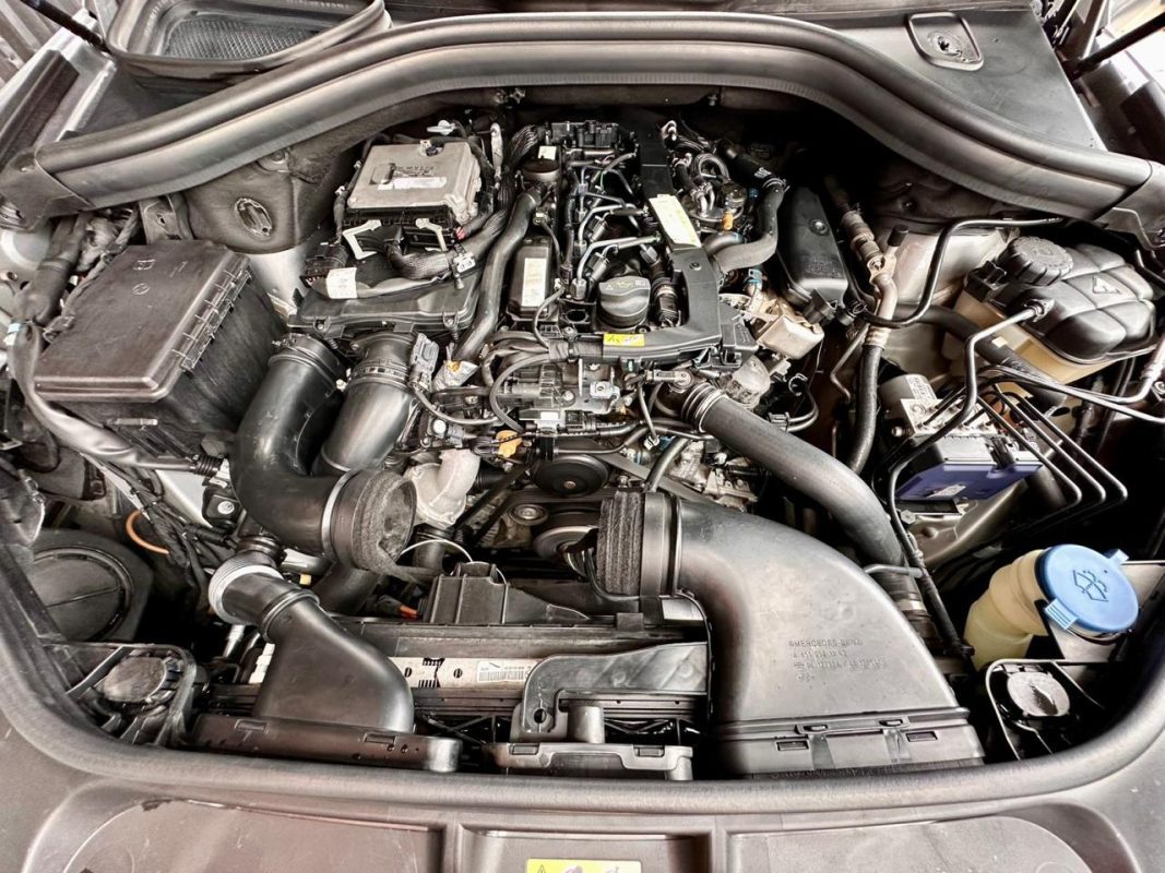 WhatsApp Image 2026-03-30 at 10.58.38 AM (3)