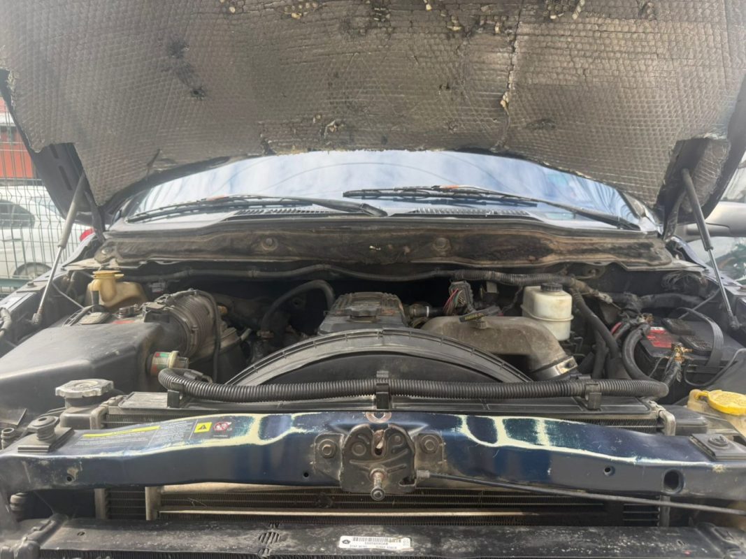 WhatsApp Image 2026-03-31 at 11.51.58 AM (1)