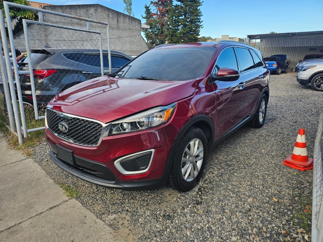 c8af37b3-3721-45e1-9415-2fcb05376b68