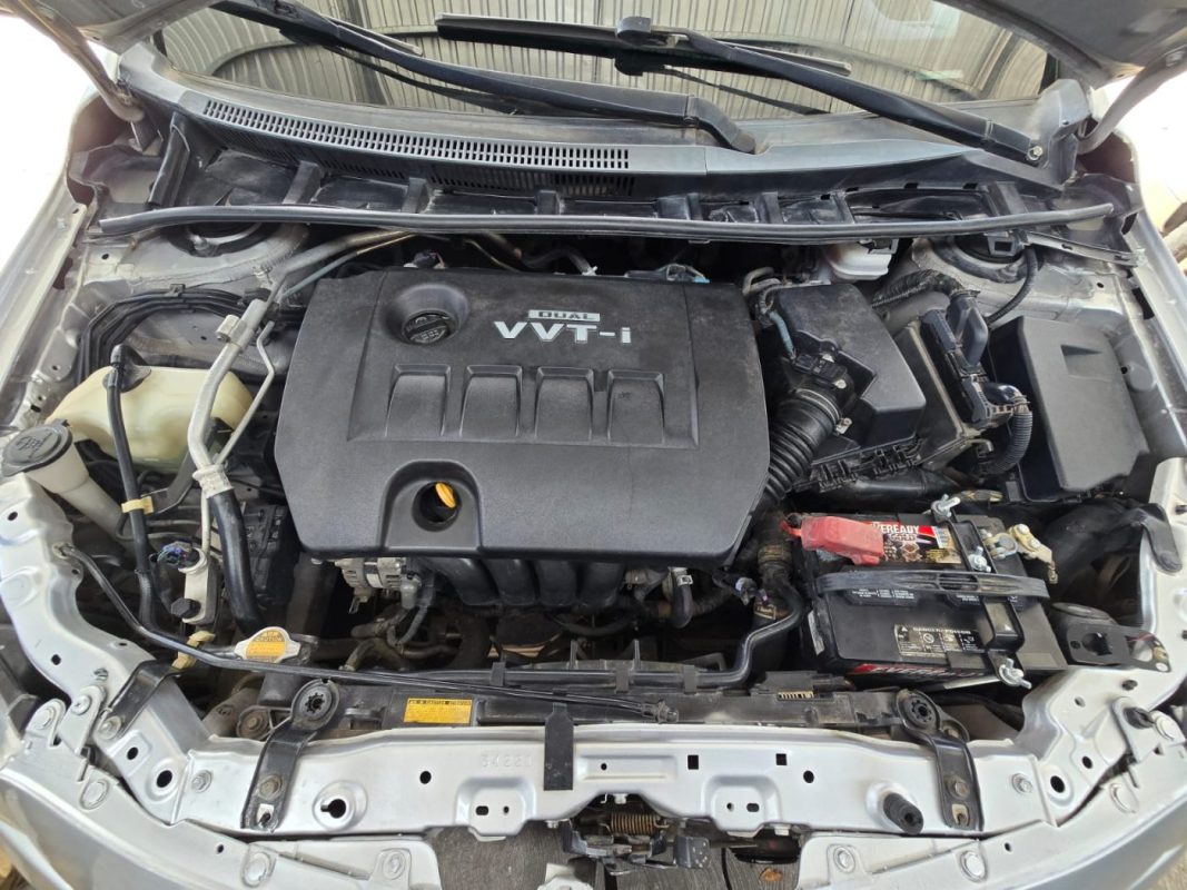 d1df1f65-c290-4912-bd00-591e1e9fd712