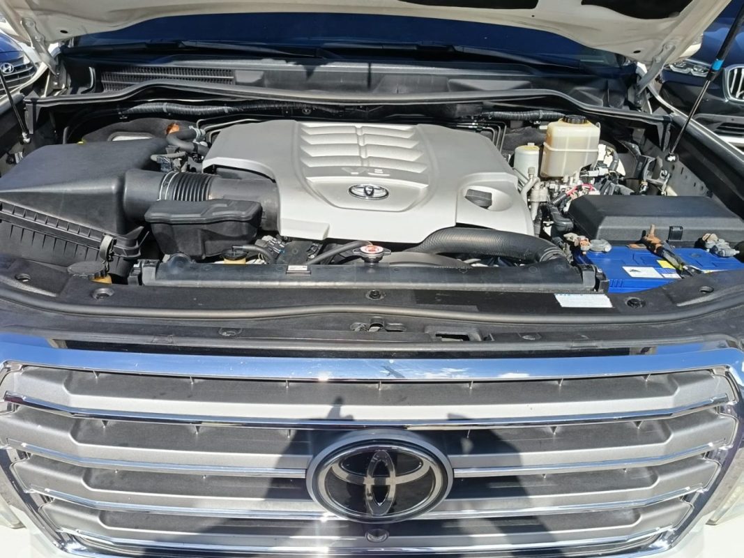 09390929-f0dd-424b-9de5-d0529b96266a