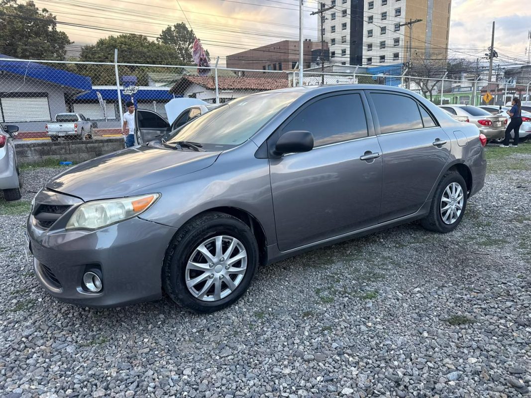 205f65b8-e743-44c0-8664-44a0a87169d3