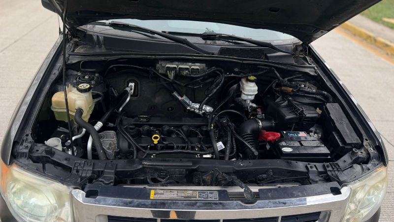 WhatsApp Image 2026-03-24 at 2.32.40 PM (2)