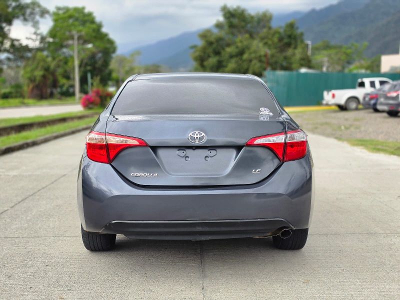 WhatsApp Image 2026-03-27 at 2.53.19 PM