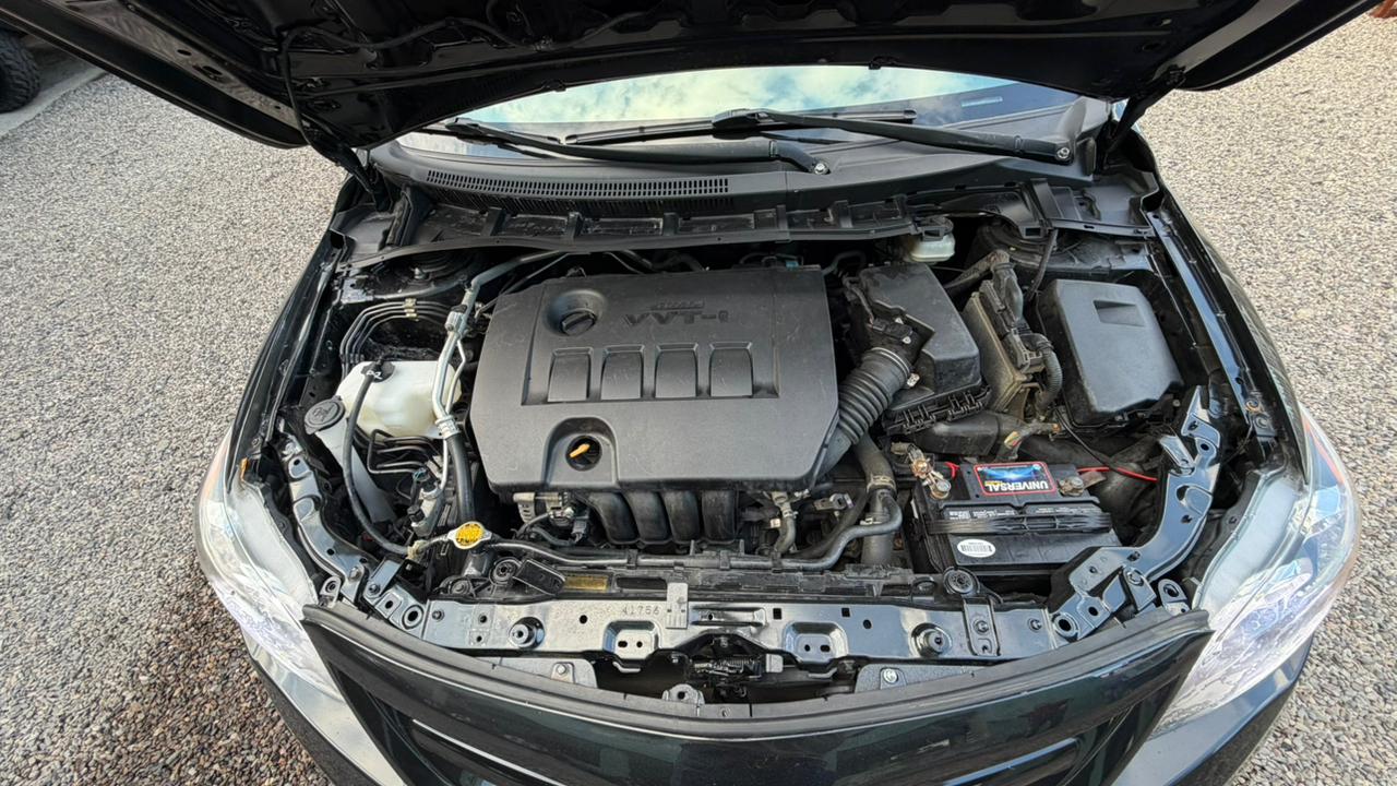 WhatsApp Image 2026-03-31 at 4.48.44 PM