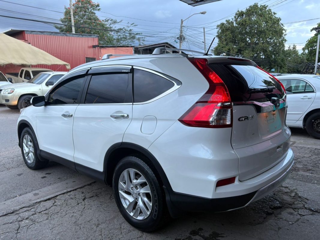 WhatsApp Image 2026-03-31 at 6.32.07 PM (1)