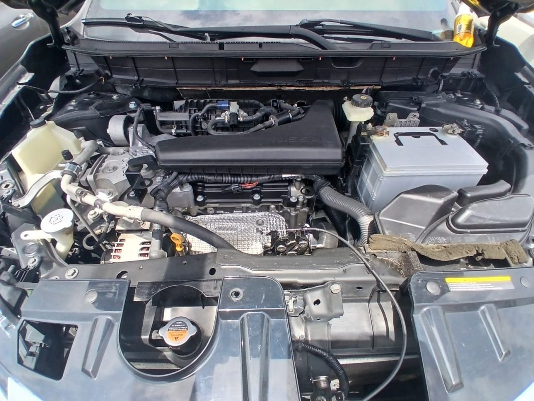 WhatsApp Image 2026-04-01 at 3.33.46 PM