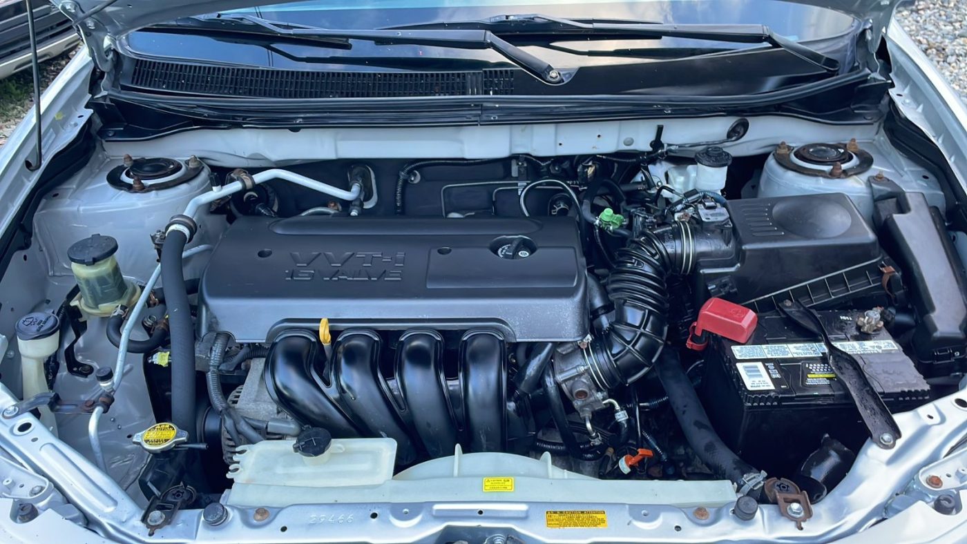 WhatsApp Image 2026-04-05 at 1.41.52 PM (3)