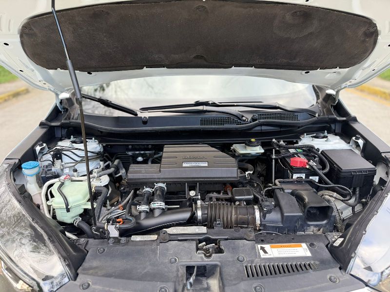 WhatsApp Image 2026-04-06 at 11.58.48 AM