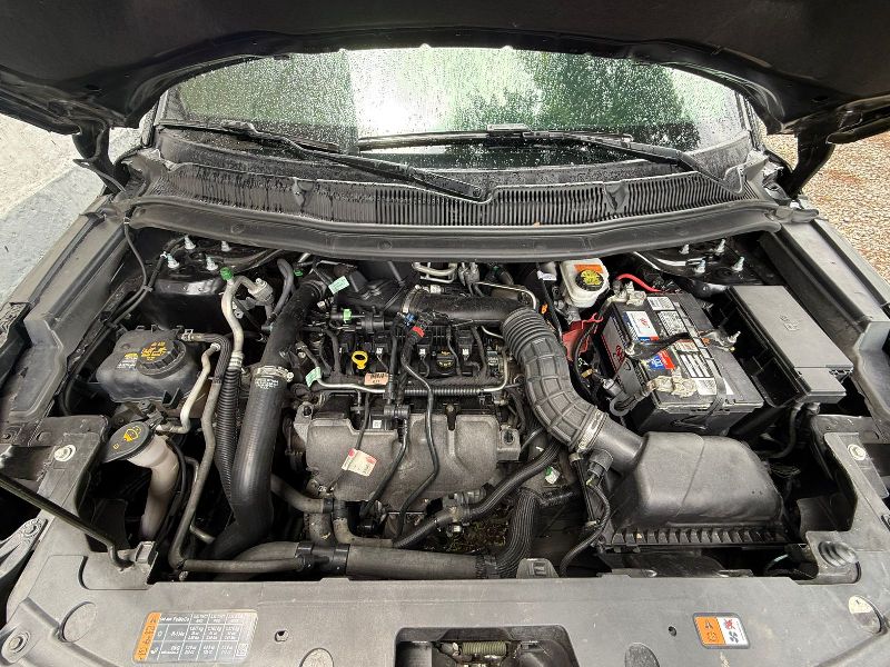 WhatsApp Image 2026-04-07 at 11.13.41 AM