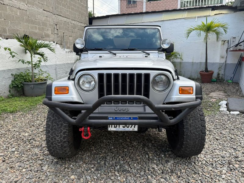 WhatsApp Image 2026-04-07 at 11.14.51 AM