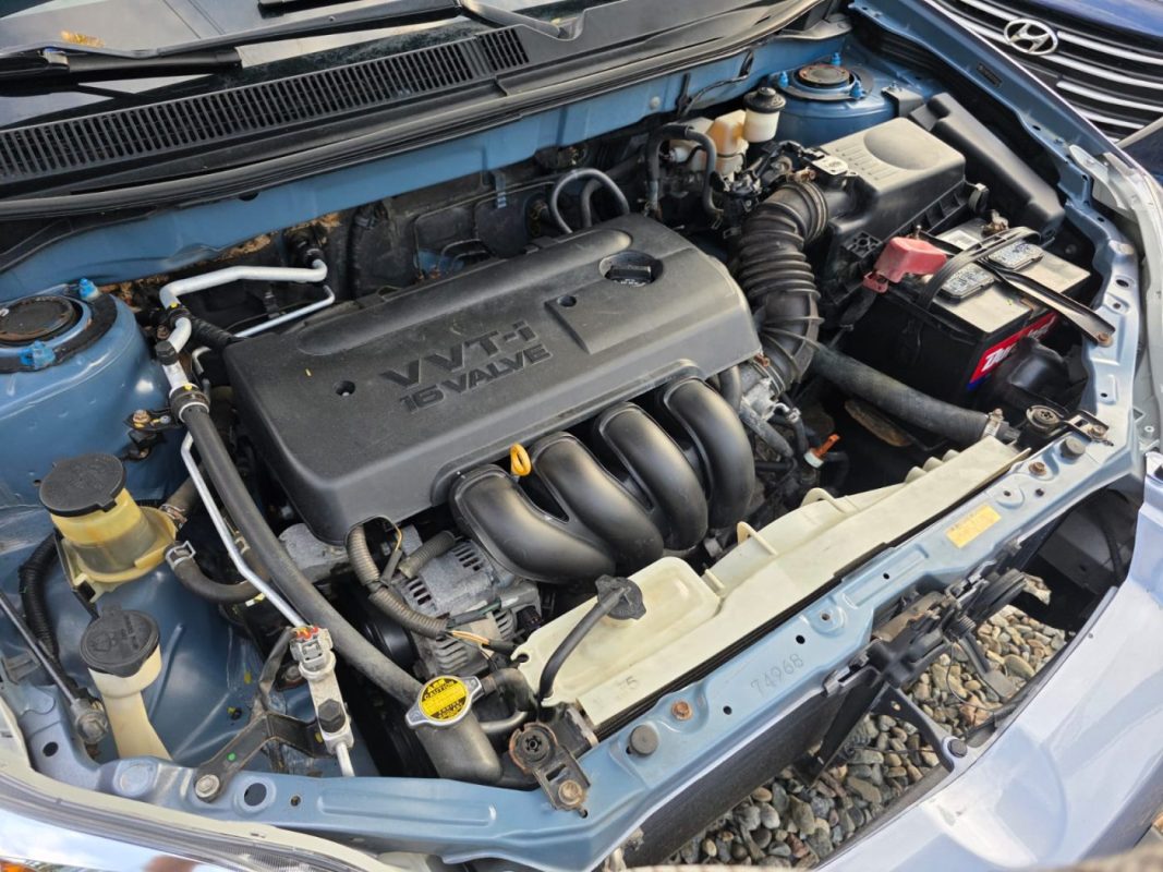 WhatsApp Image 2026-04-09 at 8.20.55 AM (1)