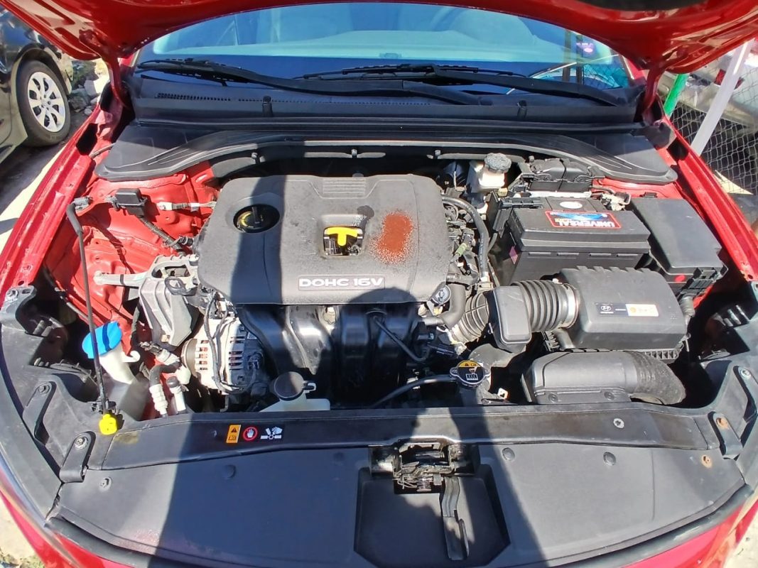 WhatsApp Image 2026-04-10 at 10.27.29 AM (6)