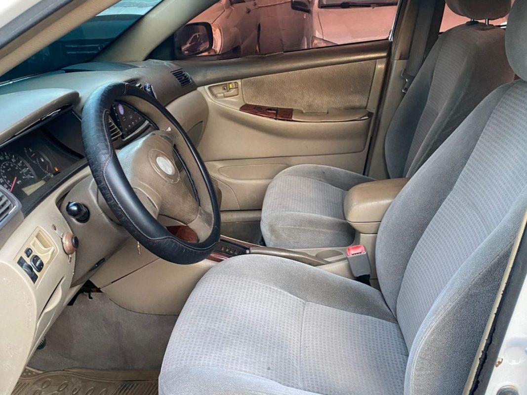 WhatsApp Image 2026-04-11 at 1.01.33 PM (2)