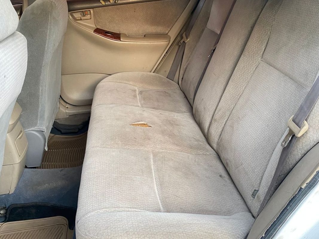 WhatsApp Image 2026-04-11 at 1.01.33 PM (3)