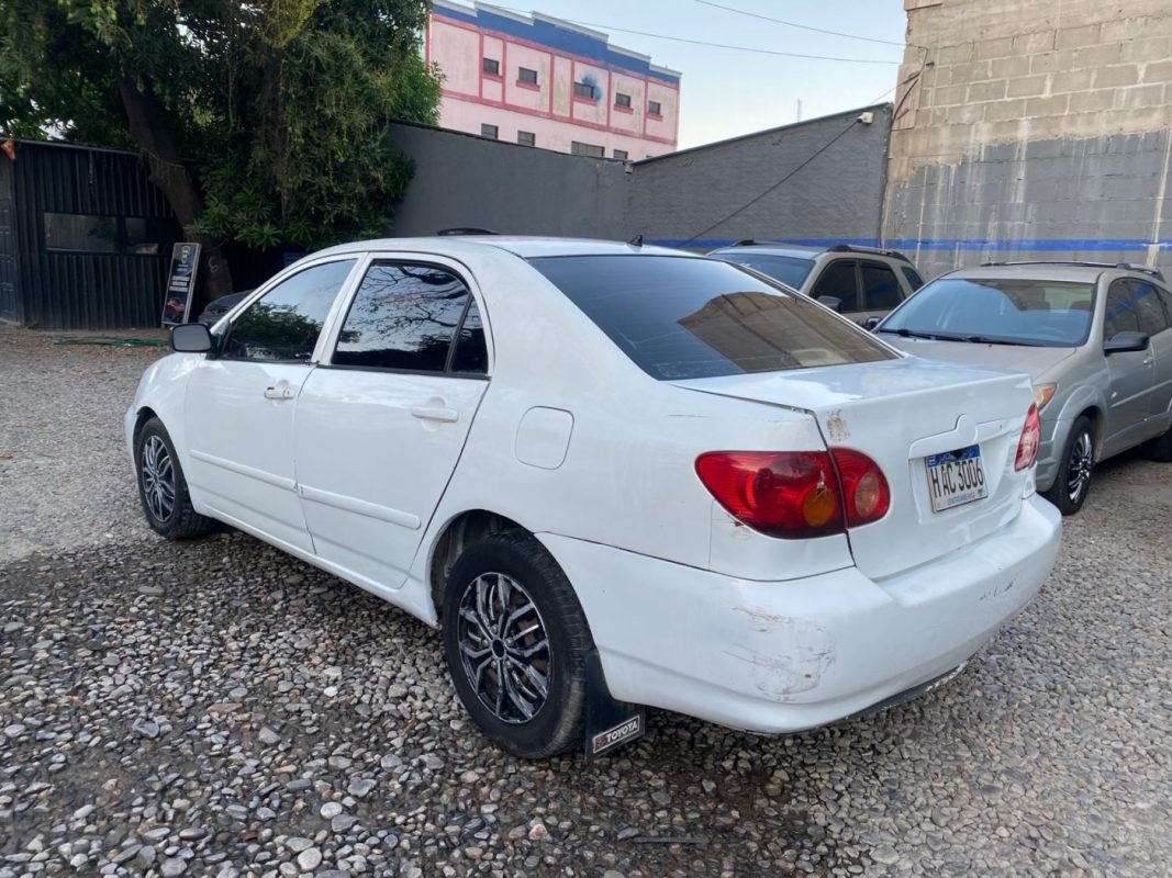 WhatsApp Image 2026-04-11 at 1.01.33 PM