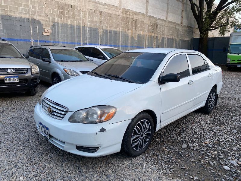 WhatsApp Image 2026-04-11 at 1.01.34 PM (2)