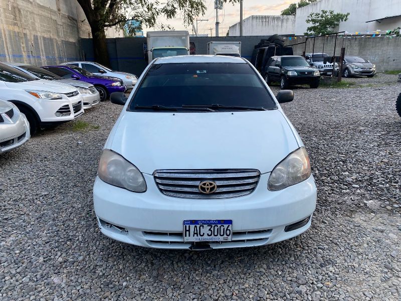 WhatsApp Image 2026-04-11 at 1.01.34 PM (3)