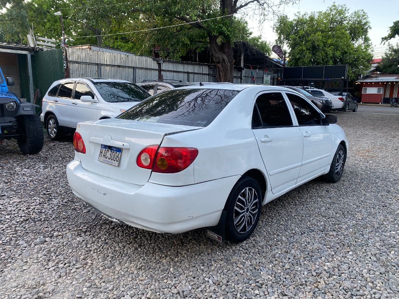 WhatsApp Image 2026-04-11 at 1.01.34 PM